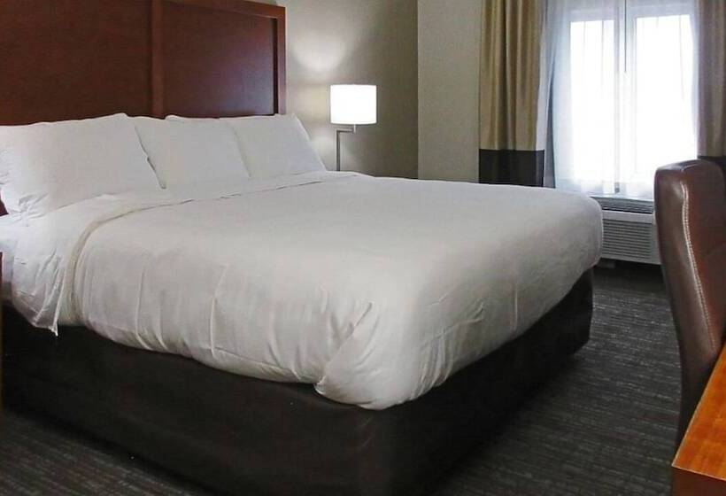 Hotel Comfort Inn & Suites