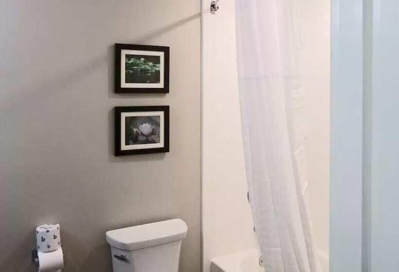 Hotel Comfort Inn & Suites