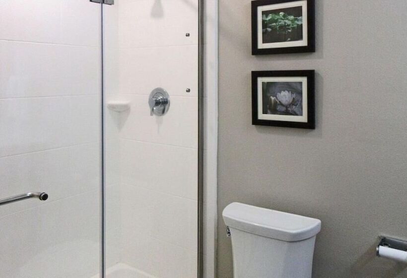 Hotel Comfort Inn & Suites