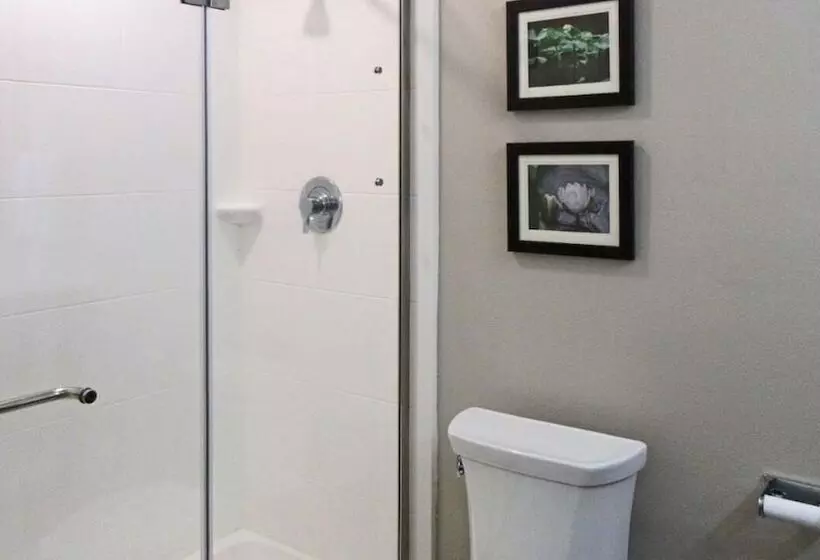 호텔 Comfort Inn & Suites