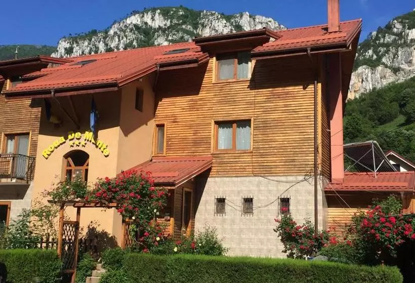 Pension Rouademunte