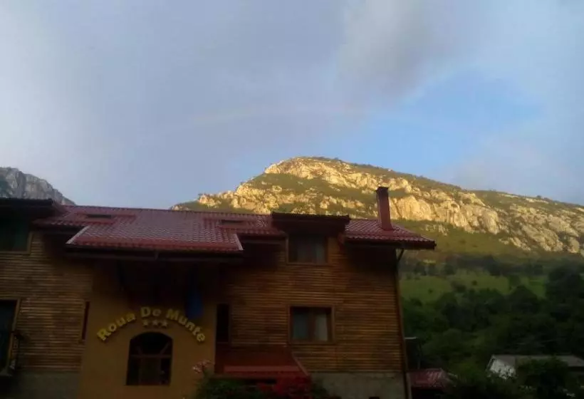 Pension Rouademunte