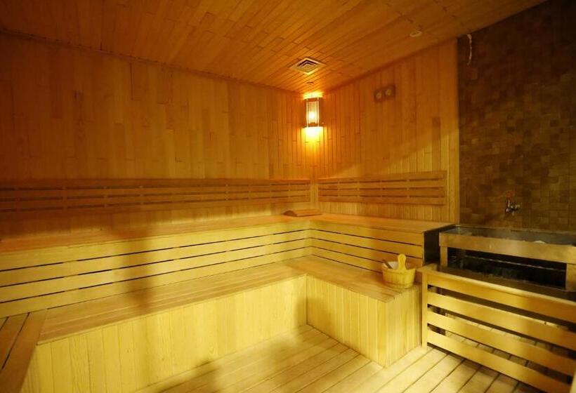 هتل Park Dedeman Kızılay Ankara