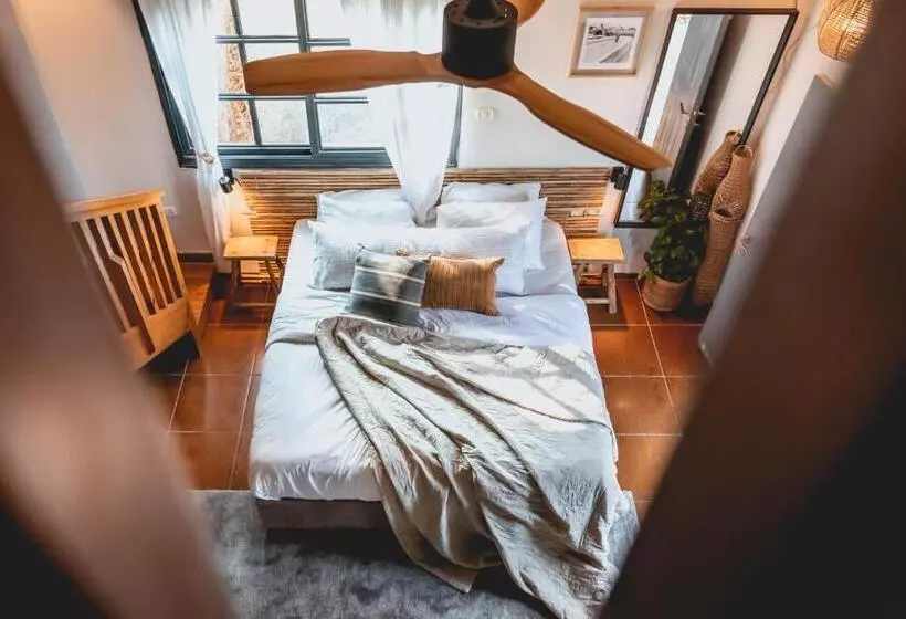 Dolphin Village   Sea Resort By Ran Hotels