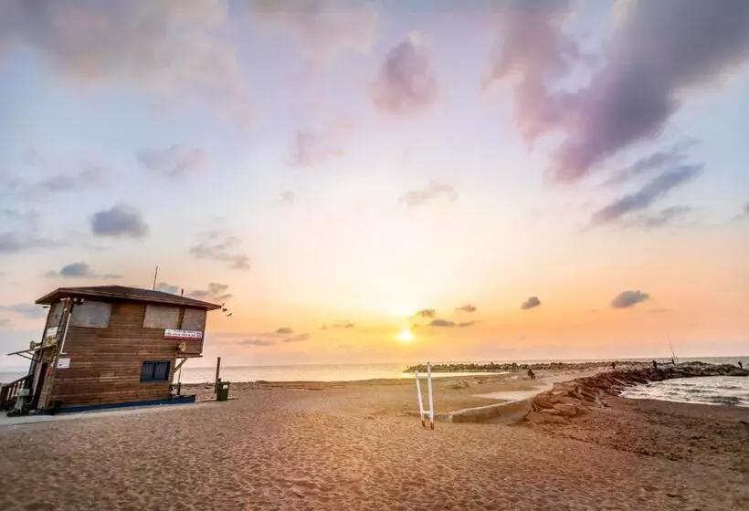 Dolphin Village   Sea Resort By Ran Hotels