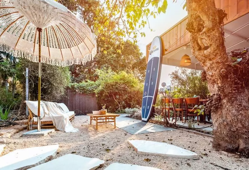 Dolphin Village   Sea Resort By Ran Hotels