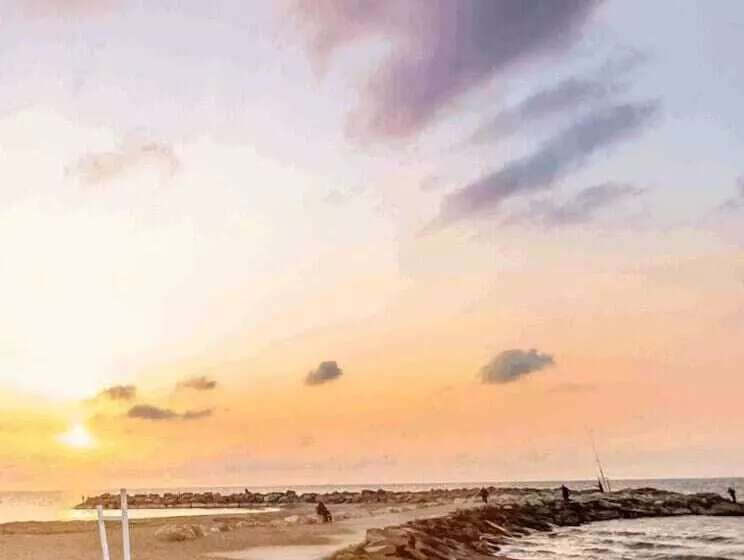 Dolphin Village   Sea Resort By Ran Hotels