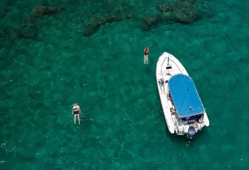 Dolphin Village   Sea Resort By Ran Hotels