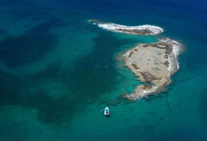 Dolphin Village   Sea Resort By Ran Hotels