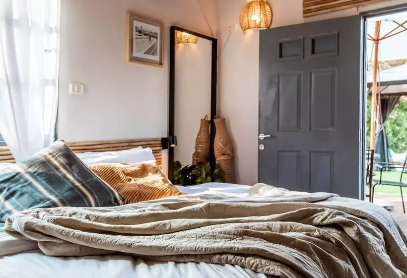 Dolphin Village   Sea Resort By Ran Hotels