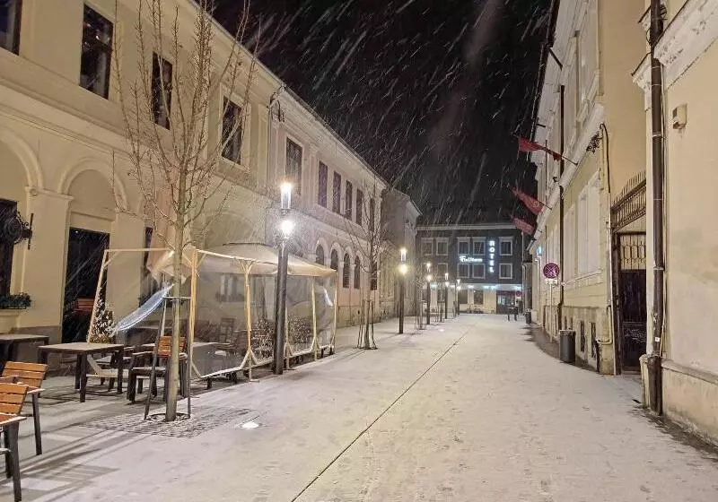 호텔 Fullton Central