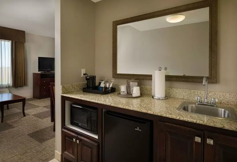 Отель Hampton Inn Suites Altus
