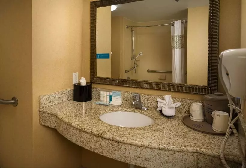 Отель Hampton Inn Suites Altus