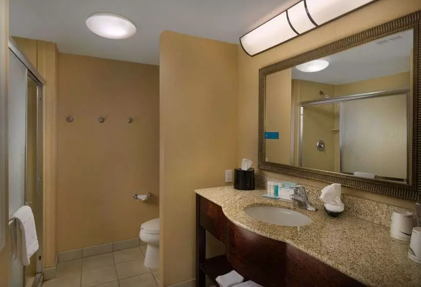 Отель Hampton Inn Suites Altus