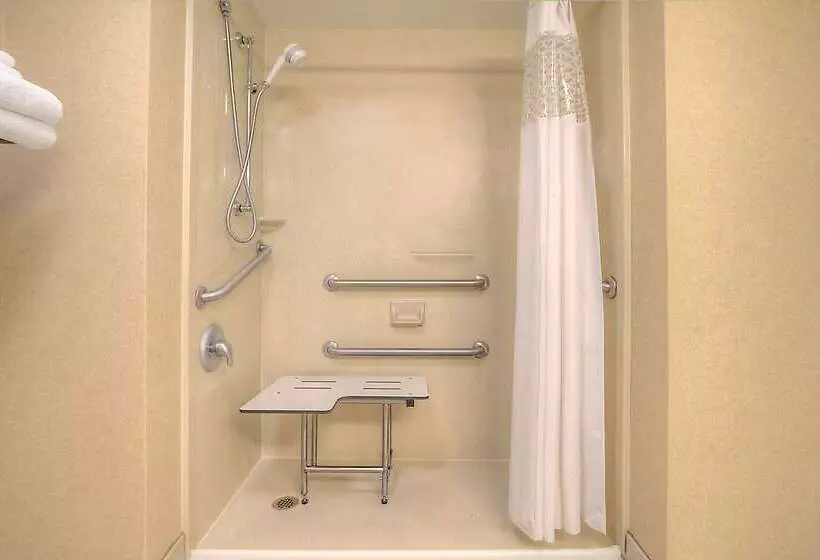 Отель Hampton Inn Suites Altus