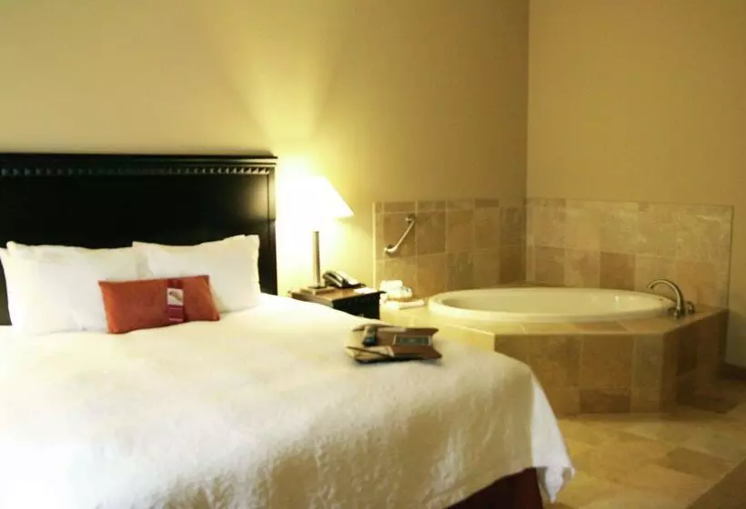 Szálloda Hampton Inn Dade City Zephyrhills