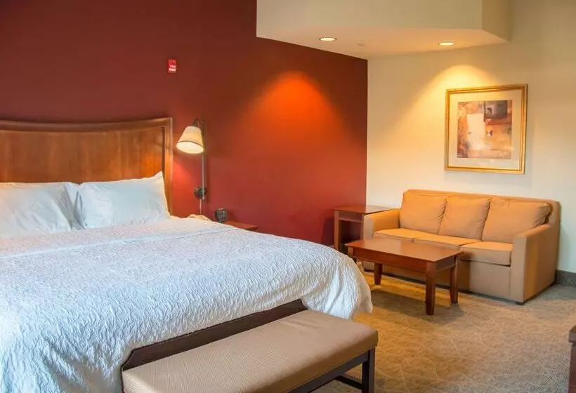 בית מלון כפרי Hampton Inn Murphy