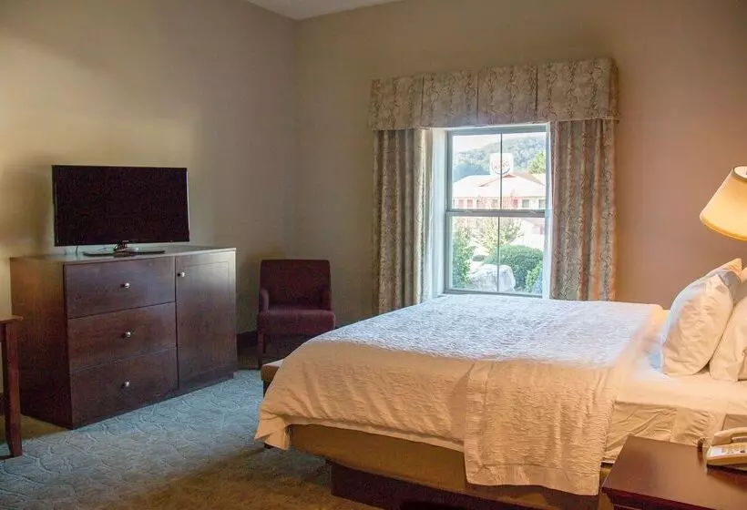 בית מלון כפרי Hampton Inn Murphy