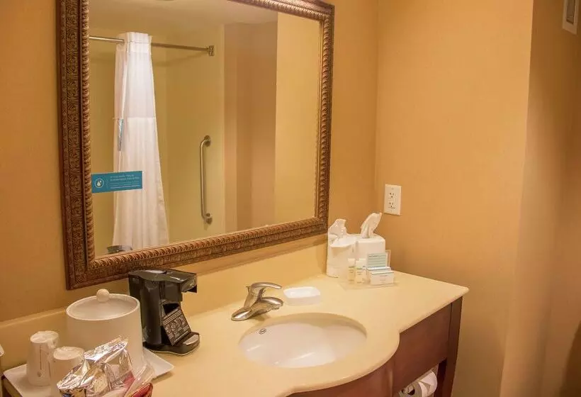 בית מלון כפרי Hampton Inn Murphy