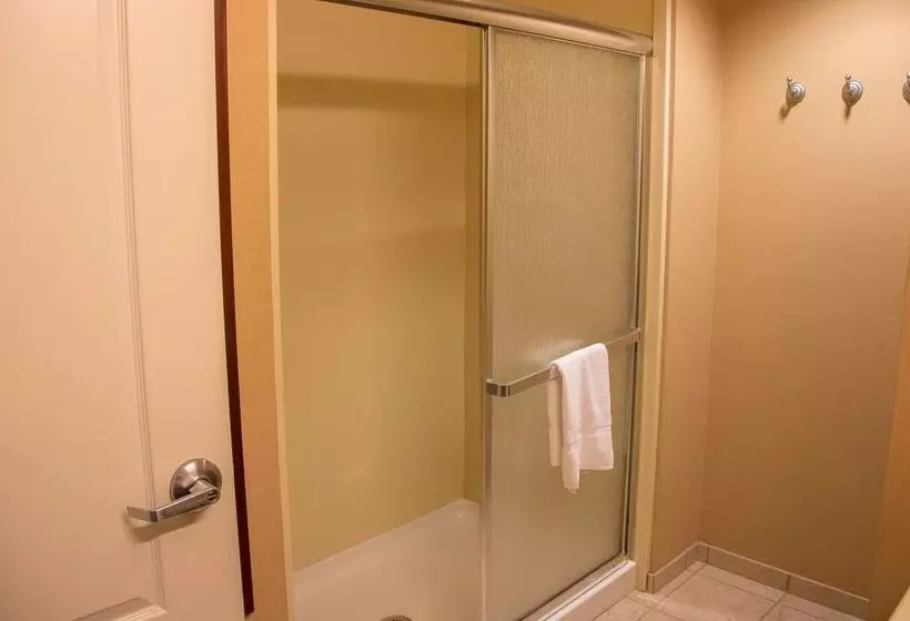 בית מלון כפרי Hampton Inn Murphy