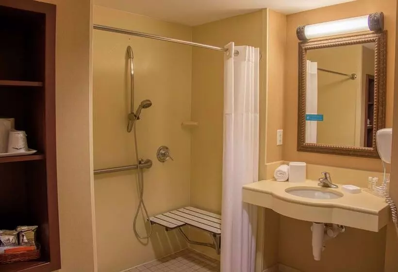 בית מלון כפרי Hampton Inn Murphy