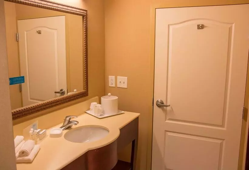 בית מלון כפרי Hampton Inn Murphy