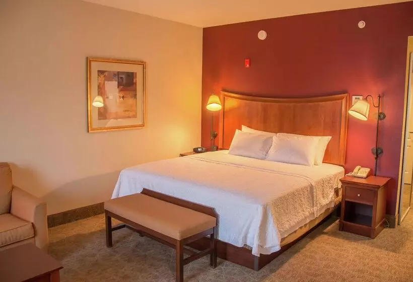 בית מלון כפרי Hampton Inn Murphy