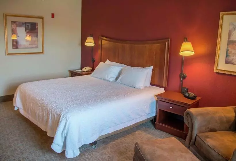 בית מלון כפרי Hampton Inn Murphy