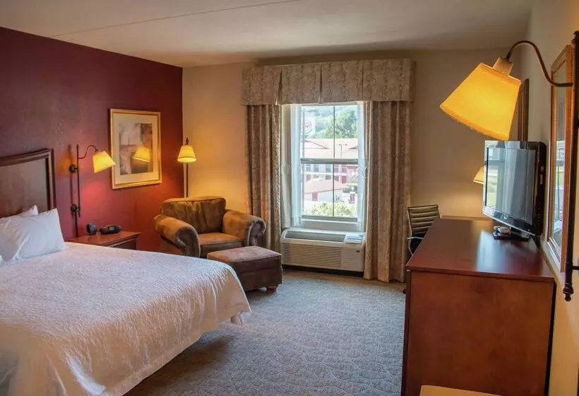 בית מלון כפרי Hampton Inn Murphy