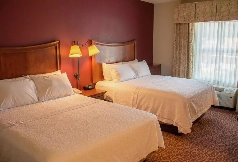 בית מלון כפרי Hampton Inn Murphy