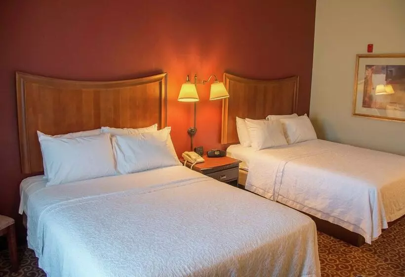 בית מלון כפרי Hampton Inn Murphy