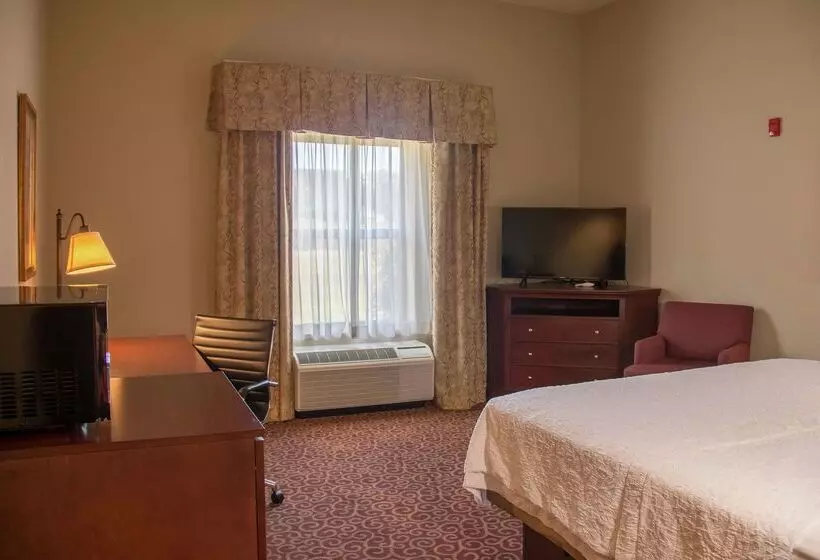 בית מלון כפרי Hampton Inn Murphy