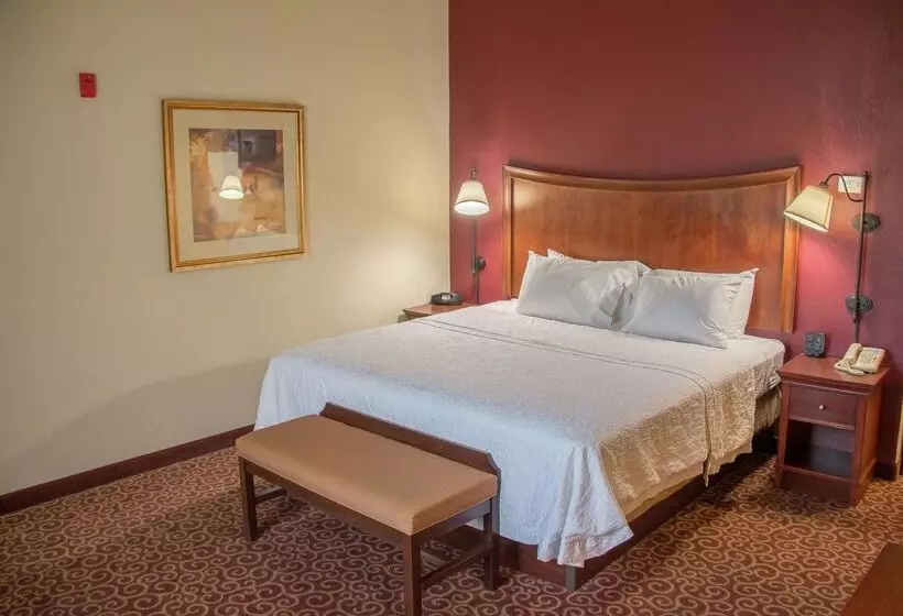 בית מלון כפרי Hampton Inn Murphy