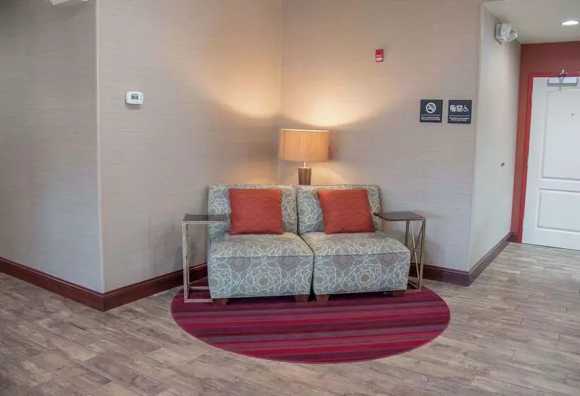 בית מלון כפרי Hampton Inn Murphy