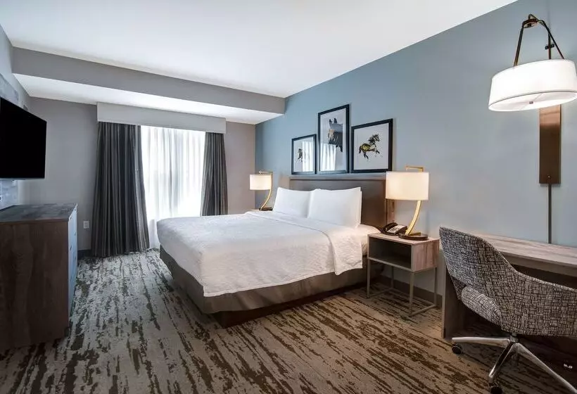 Hotel Homewood Suites Lexington Hamburg