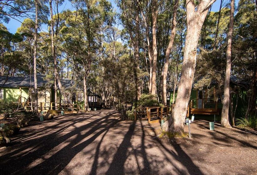 Отель Lake St Clair Lodge