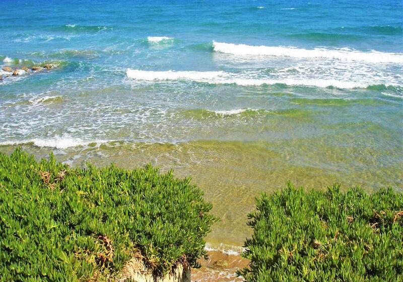 فندق Sunset Beach