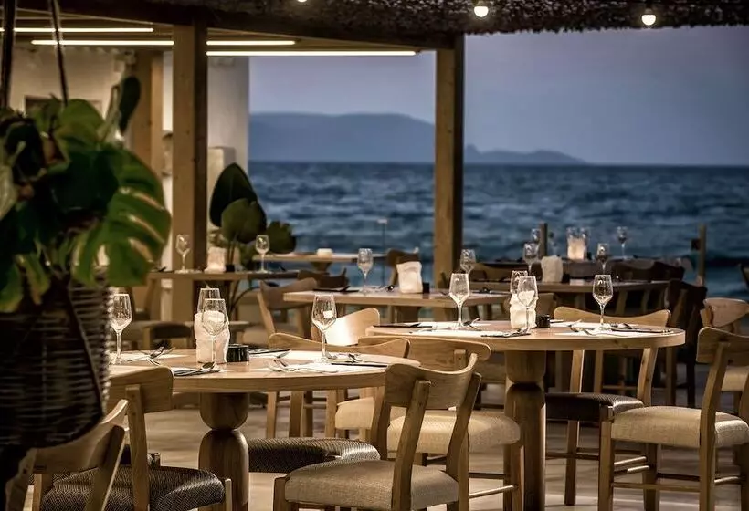 منتجع Enorme Maya Beach Hotel Adults Only