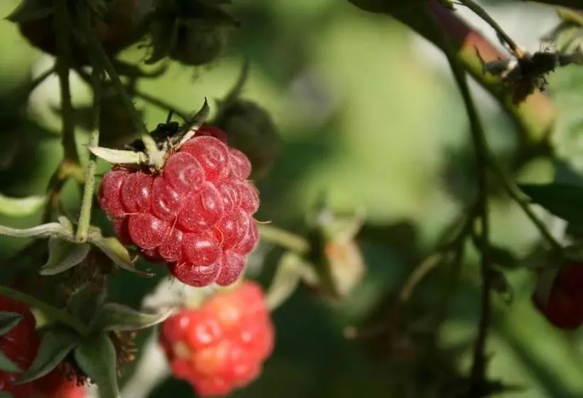 Pensjonat B&b Nad Rudawą