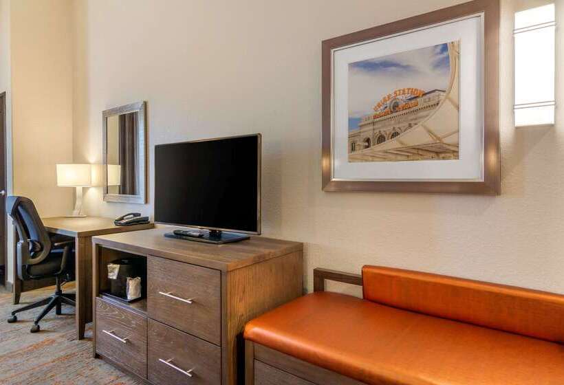 Отель Comfort Inn & Suites Brighton Denver Ne Medical Center