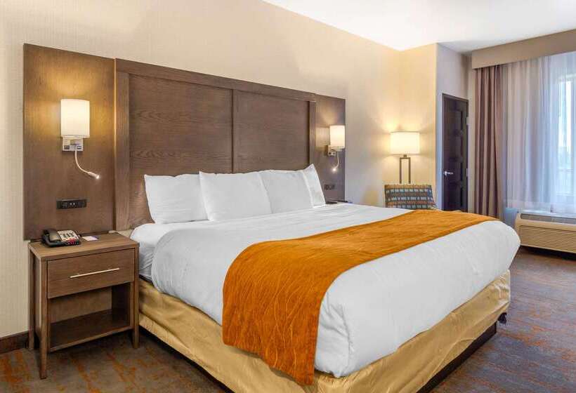 Отель Comfort Inn & Suites Brighton Denver Ne Medical Center