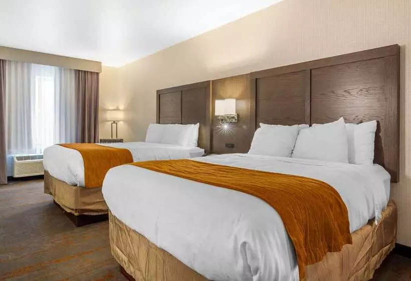 酒店 Comfort Inn & Suites Brighton Denver Ne Medical Center