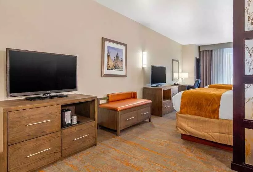酒店 Comfort Inn & Suites Brighton Denver Ne Medical Center