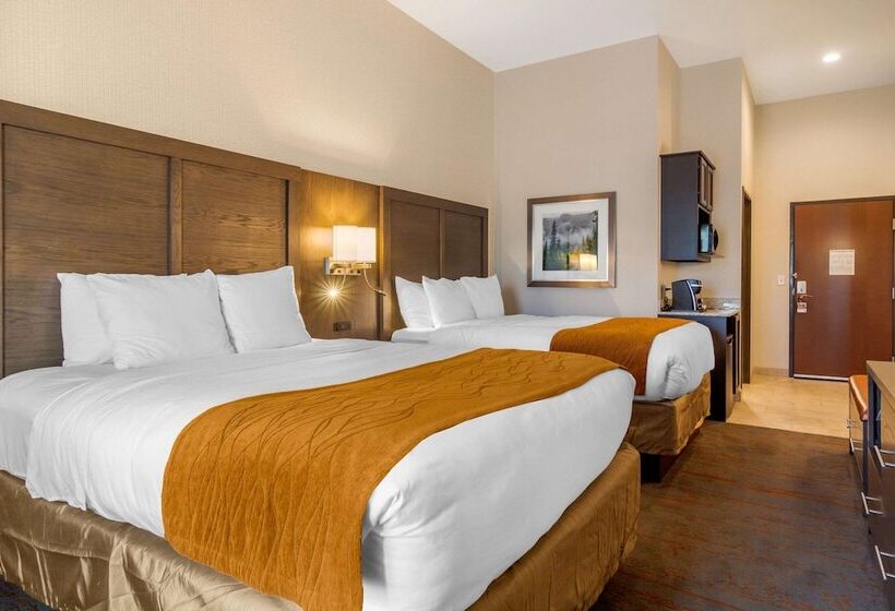 Отель Comfort Inn & Suites Brighton Denver Ne Medical Center