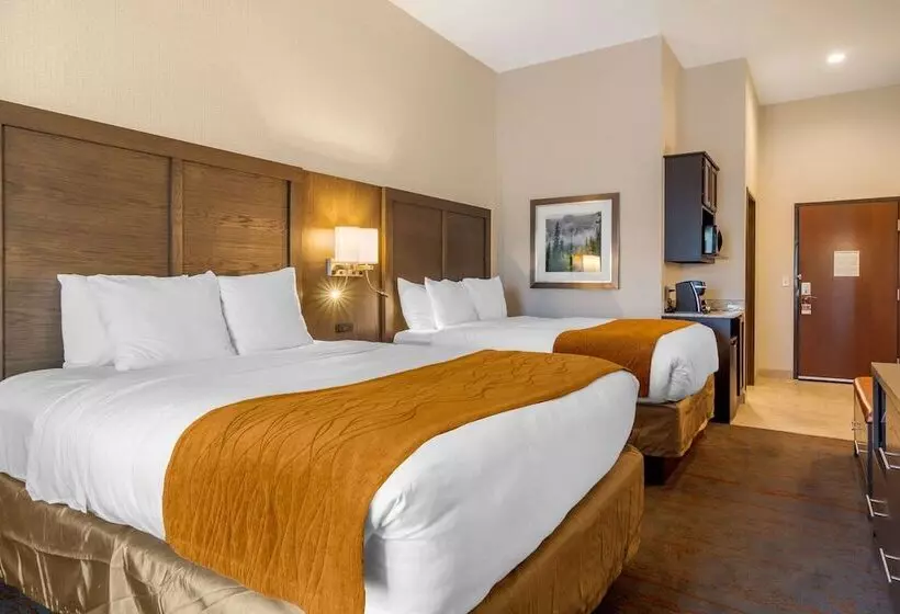 酒店 Comfort Inn & Suites Brighton Denver Ne Medical Center