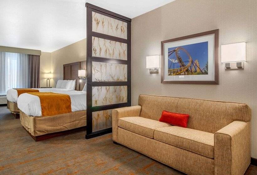 Отель Comfort Inn & Suites Brighton Denver Ne Medical Center