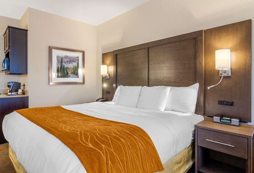 Отель Comfort Inn & Suites Brighton Denver Ne Medical Center