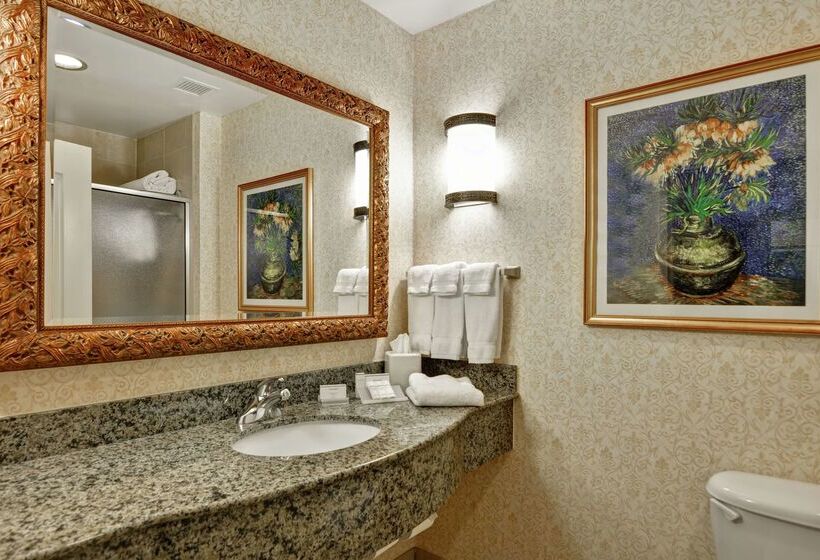 ホテル Hilton Garden Inn Amarillo