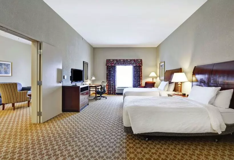 호텔 Hilton Garden Inn Amarillo