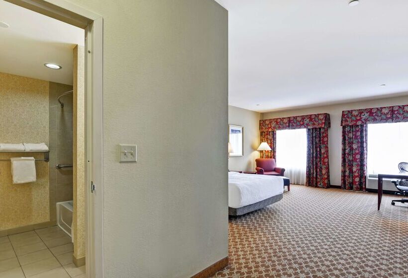 ホテル Hilton Garden Inn Amarillo